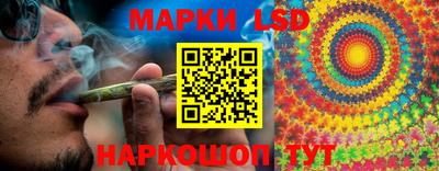 скорость Новодвинск